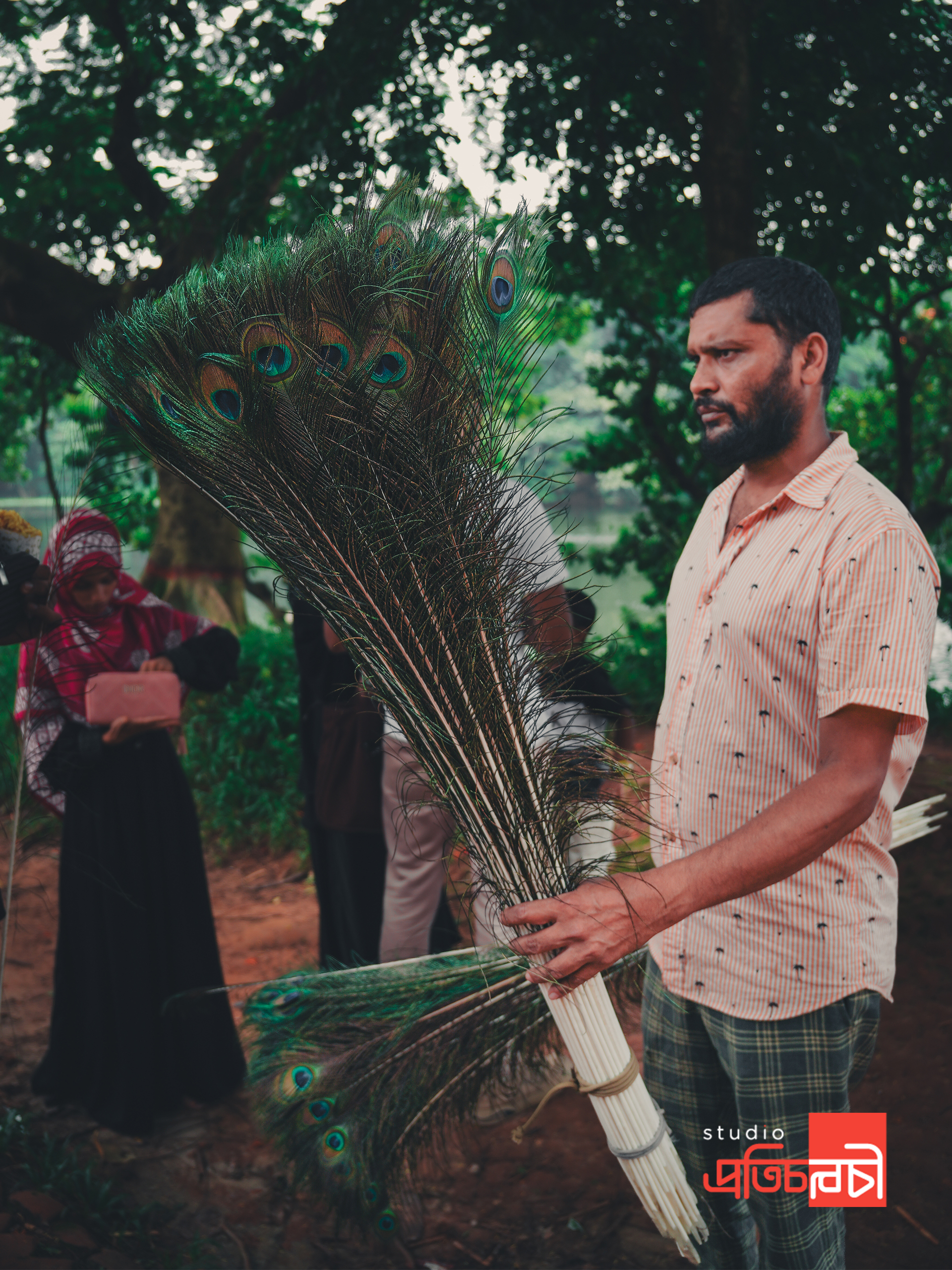 পালকের আড়ালে